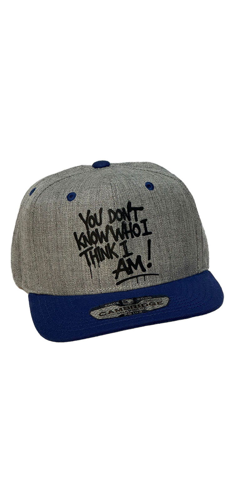 Hat - Spraypaint Snapback Hat